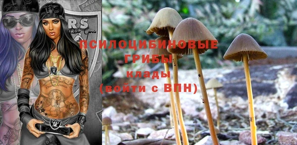 мяу мяу кристалл Балахна