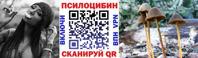 Псилоцибиновые грибы MAGIC MUSHROOMS  Балей 